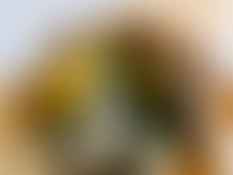 3月8日は国際女性デー「ミモザの日」ーありがとうの気持ちをフラワーギフトにのせて