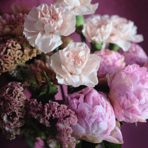 FLORISTおまかせ】季節の花束 XL | FLORIST JP