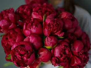 赤い芍薬の花束