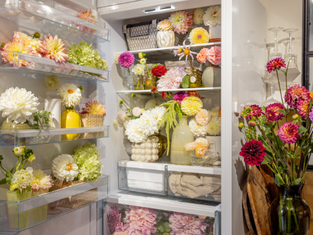 冷蔵庫に入ったたくさんの花