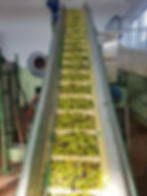 Have a safe travel!!!