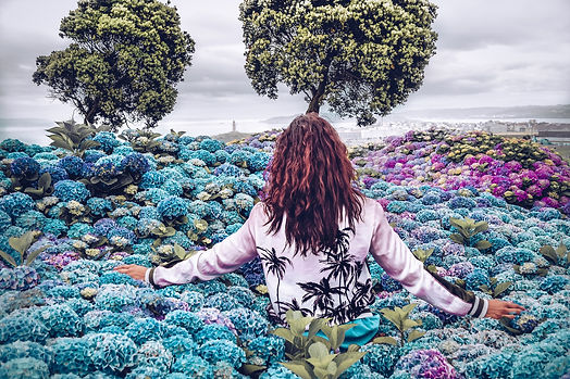 Liberation, Wild Flowers, Freedom, Ascension, Awakening, Path