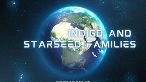 Indigo and Starseed Families