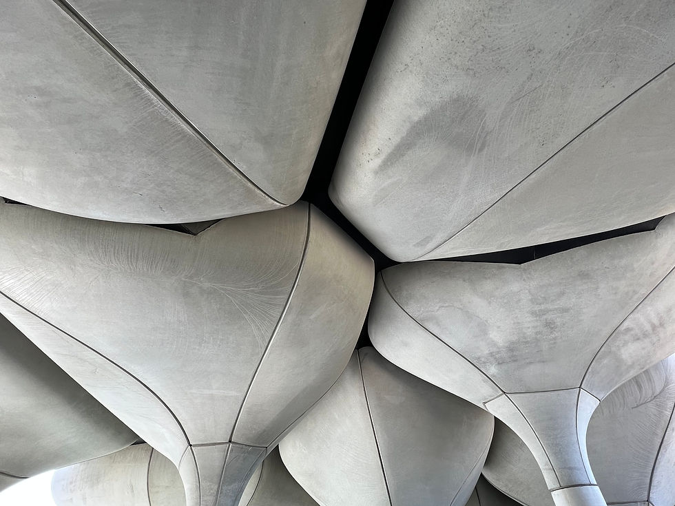 M&A lawyer in Frankfurt