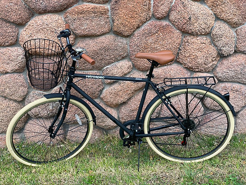 RR1 Stepover Bike.jpeg