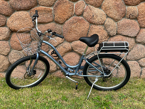 RR1 Electric Stepthru Bike.jpeg