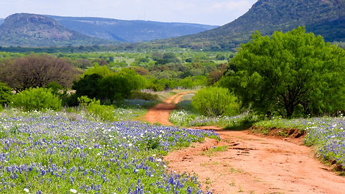 Hill_Country_Road_(106648873).jpeg