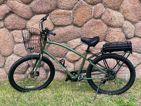 RR1 Electric Stepover Bike.jpeg