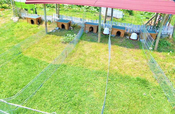 Lieux de vie | Lesptitscalichons