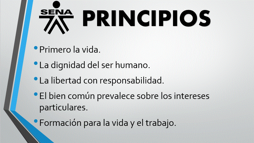PRINCIPIOS