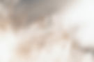 White Feather.jpg