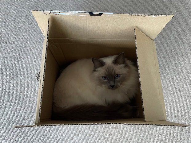 vivianintech-noodle14