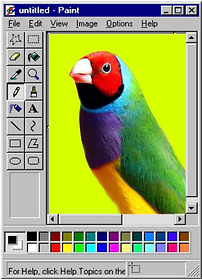 Lady Gouldian Finch_edited.png