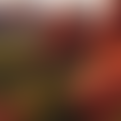 Discover Sedona AZ: Must-See Sights and Activities