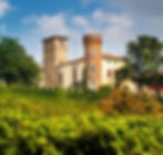 Stone castle with round and square towers sits amid lush green vineyards, under a blue sky with scattered clouds.