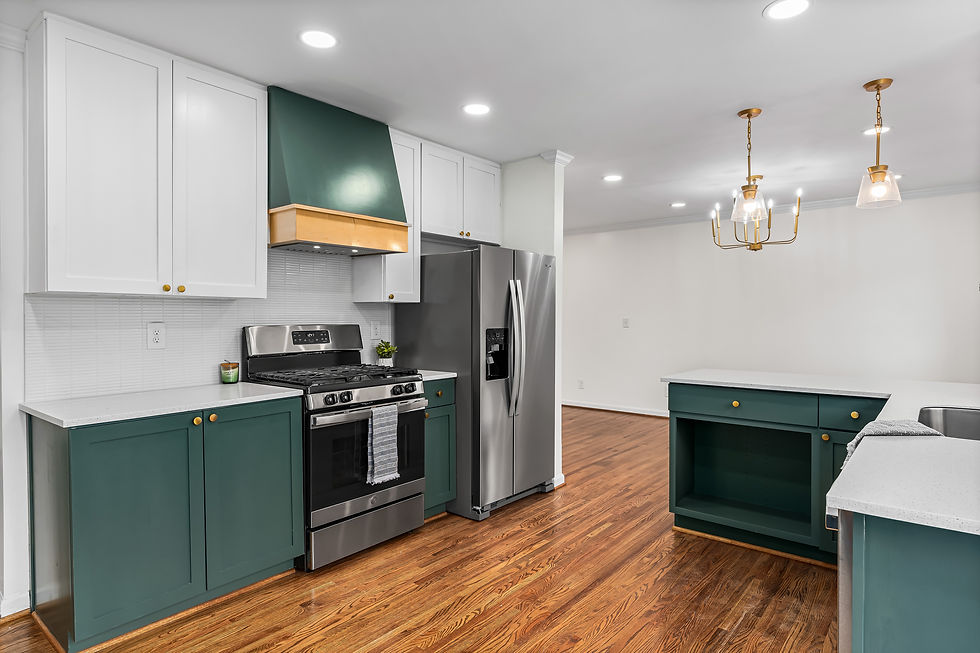 1301 chester st birmingham 12.JPG