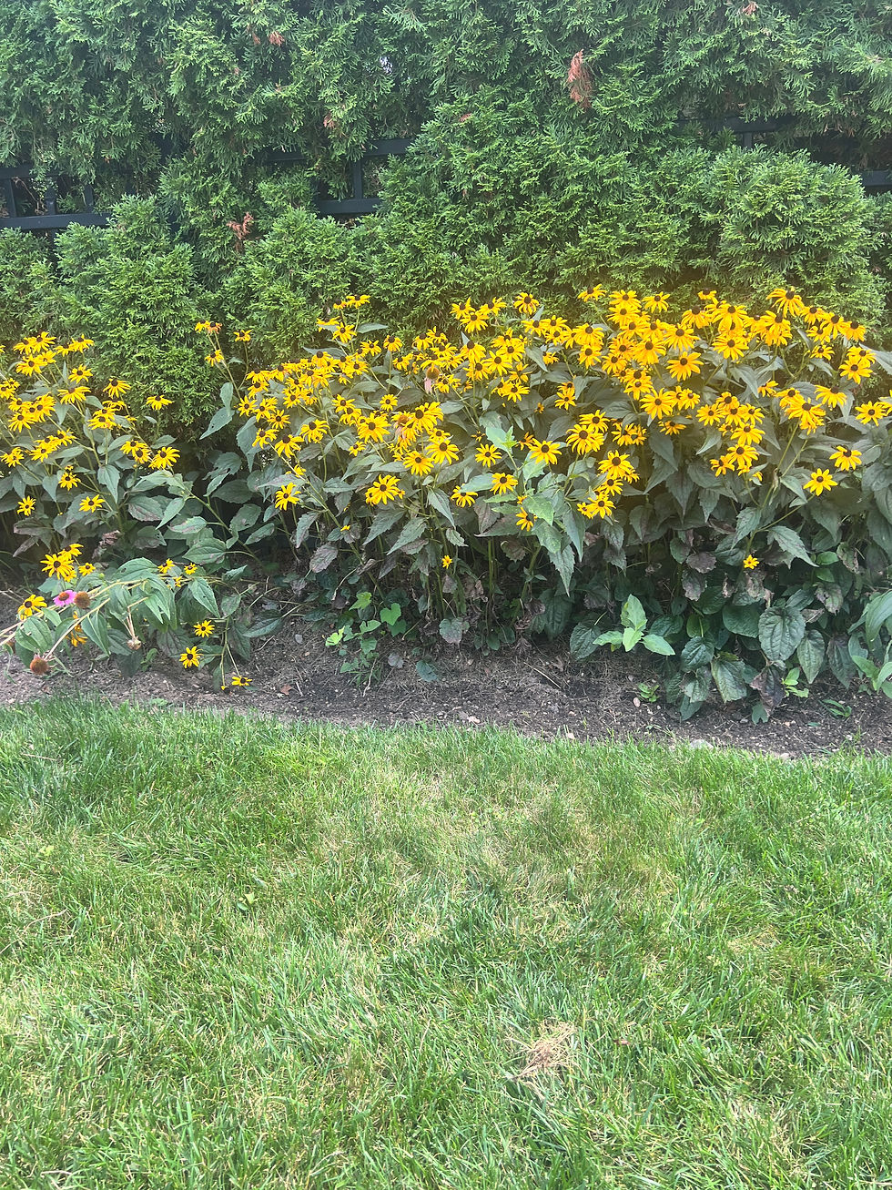 jacksonvillelandscapingservice August 2025 97