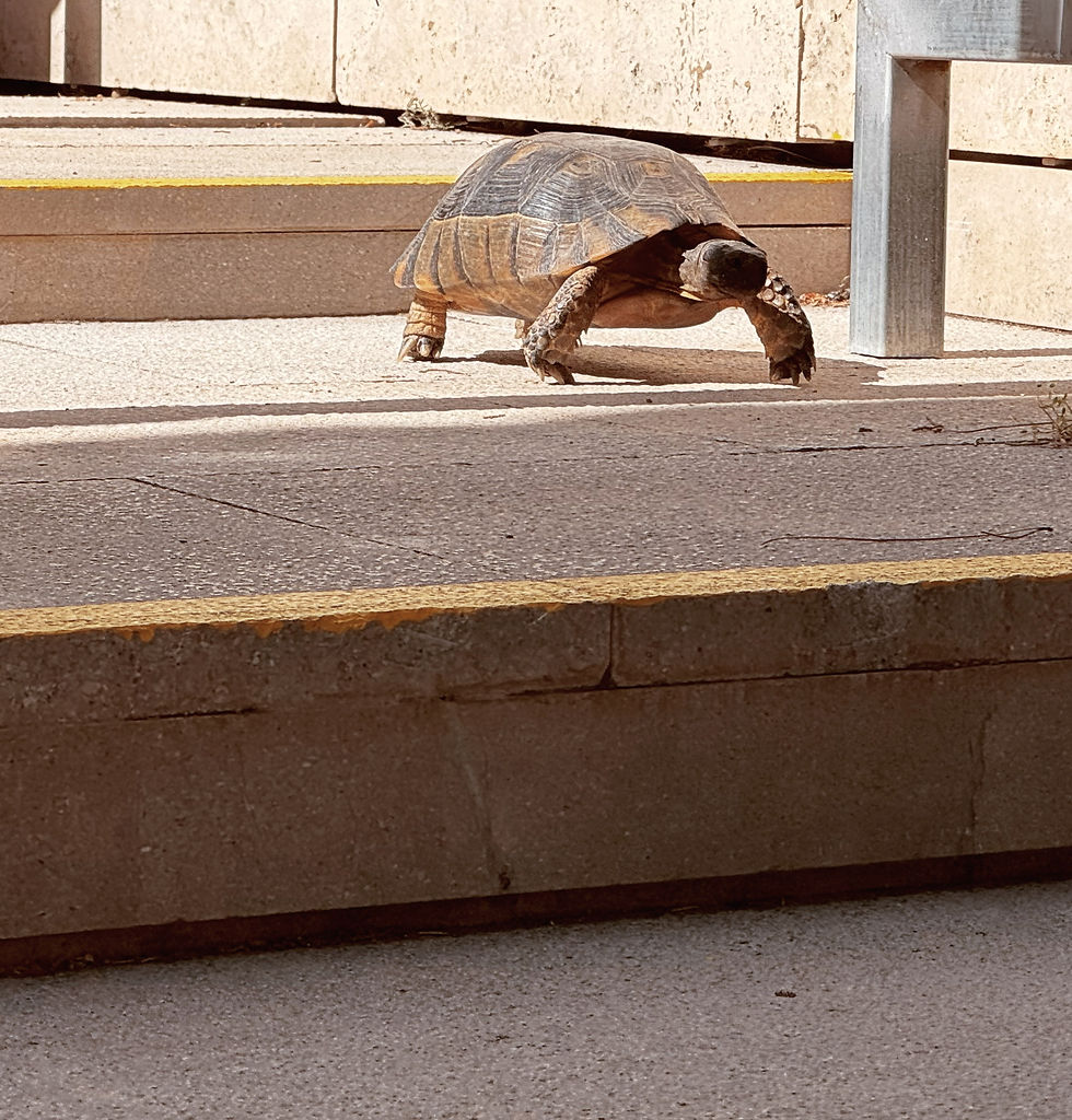 Daar is er weer één!