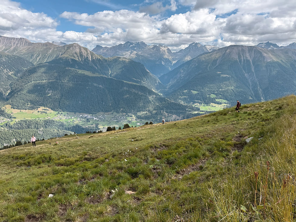 En natuurlijk snijden we weer af waar dat mogelijk is, ha ha!