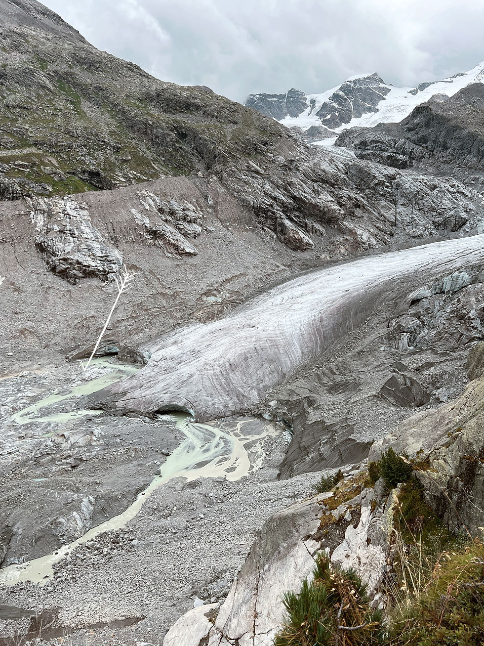 Hier bij de pijl hebben we gestaan.