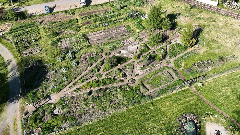 Tree Of Life Garden.jpg