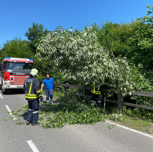 Sturmschaden auf der Hauptstraße (T1)