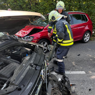 Menschenrettung auf der Wienerstraße (T2)