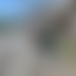 Fahrzeugbrand auf der A21