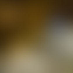 Biberschaden am Spielplatzweg (T1)