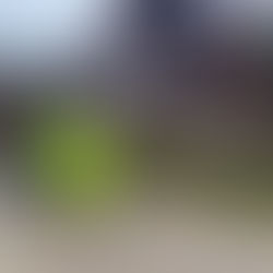 Person in Notlage (T1)