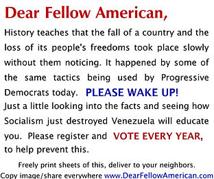 DearFellowAmerican6Image.jpeg