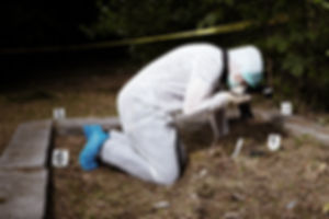 Crime Scene Investigator