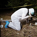 Crime Scene Cornwall