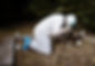 Crime Scene Investigator