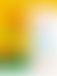 CREA SAN LORENZO III EDIZIONE