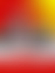 ROKA MUSIC SUMMER TOUR