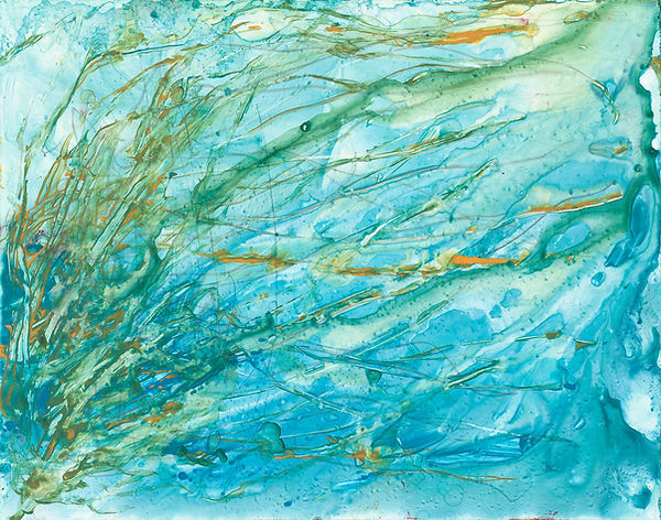 The Pond_The Blue Pond.jpg