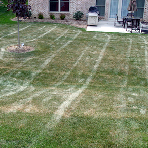 Heat Stress vs. Drought Stress: What’s the Difference?