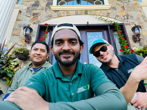 Weed Patrol Professionals