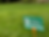 lawn weed patrol