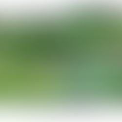 Topdressing 101: How It Works and Why It Matters