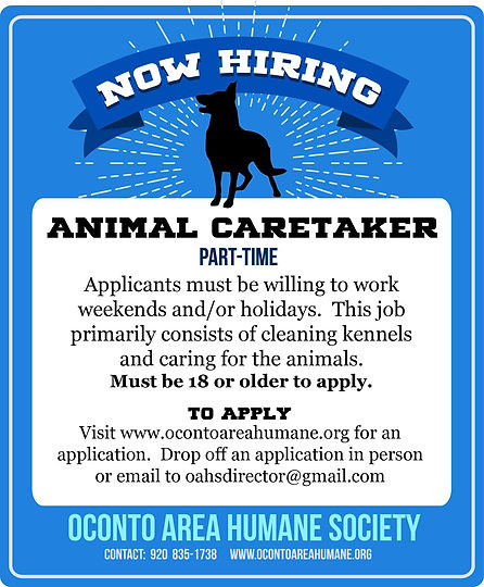 hiring.jpeg