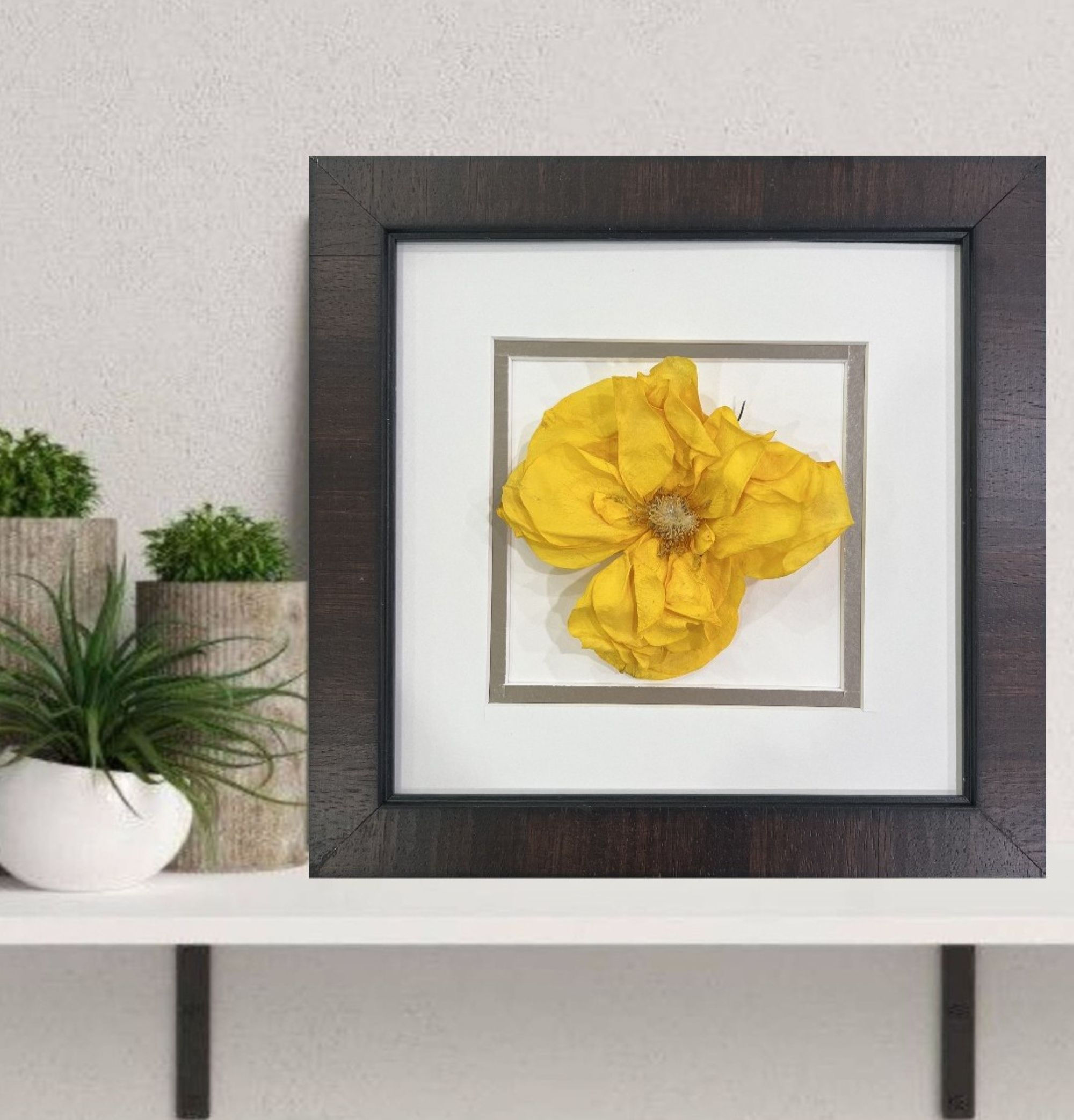 Dried Yellow Rose Flower Framed Art; Wrist Corsage Preserved Flowers 9x9; 69