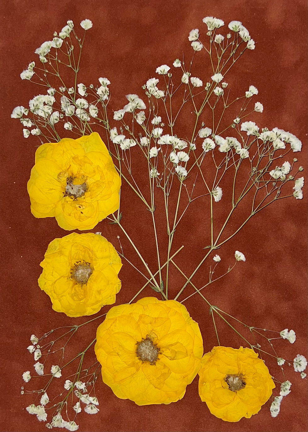 Thumbnail: Yellow Roses Dried Flowers Art Botanical Prints Hosting Decor 55