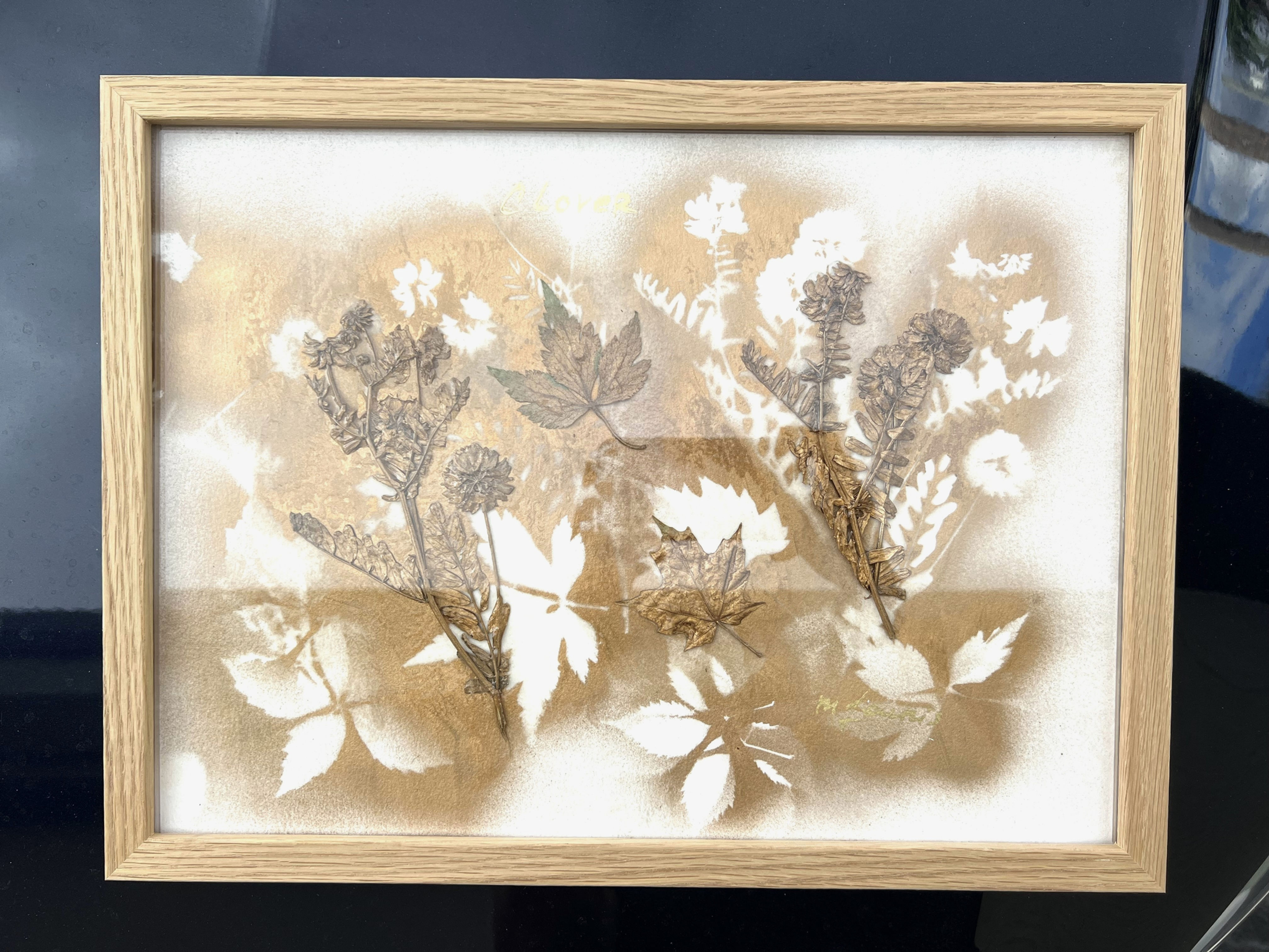 Dried Flowers Original Framed Art 1.1