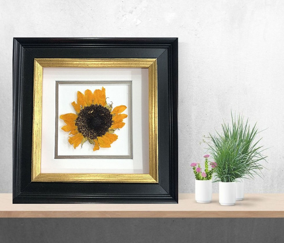 Thumbnail: Sunflower Framed art; Pressed flowers art; Real Preserved flowers 23