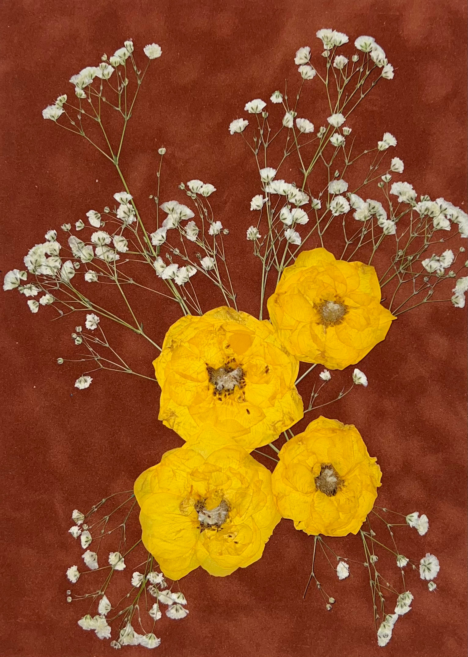 Yellow Rose Dried Flowers Art Botanical Prints Hosting Decor 51