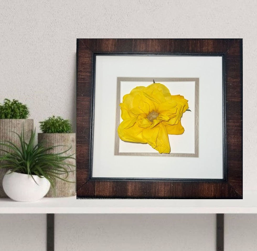 Thumbnail: Dried Yellow Rose Flower Framed art; Pressed Flowers Wall Art 48