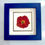 Thumbnail: Tulip Flower Framed art; Pressed Flowers art; Real Preserved Flowers 26