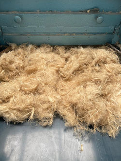 b4b897d8-0fd1-471c-862d-af6a6ba28d5f